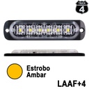 LAAF+4_03.jpg
