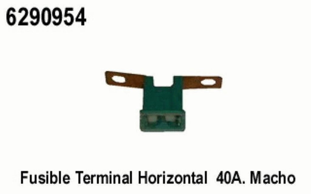 6290954.jpg