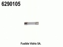 6290105.jpg