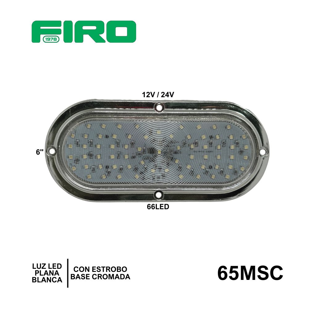 65MSC_01.jpg