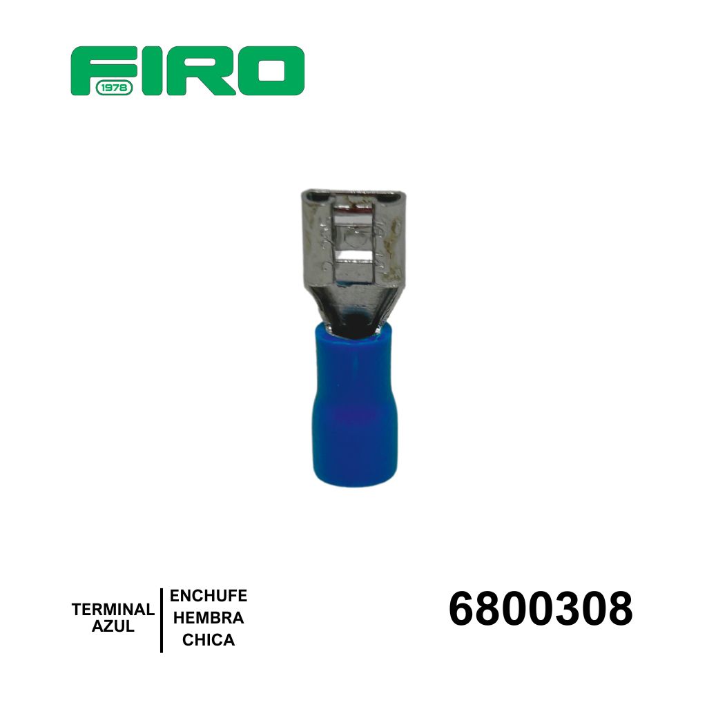 6800308.jpg