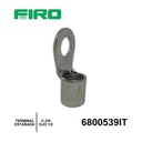 6800539IT.jpg