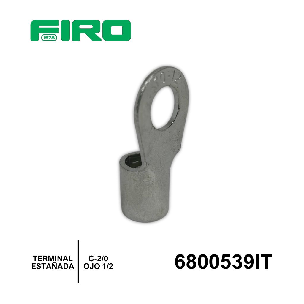 6800539IT_02.jpg