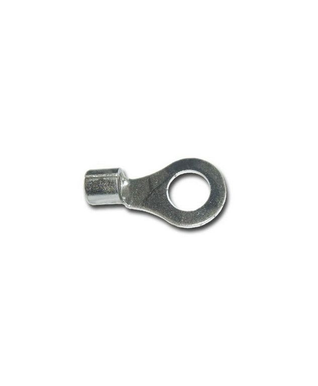 6800509.jpg