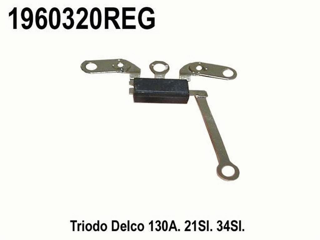 1960320REG_02.jpg