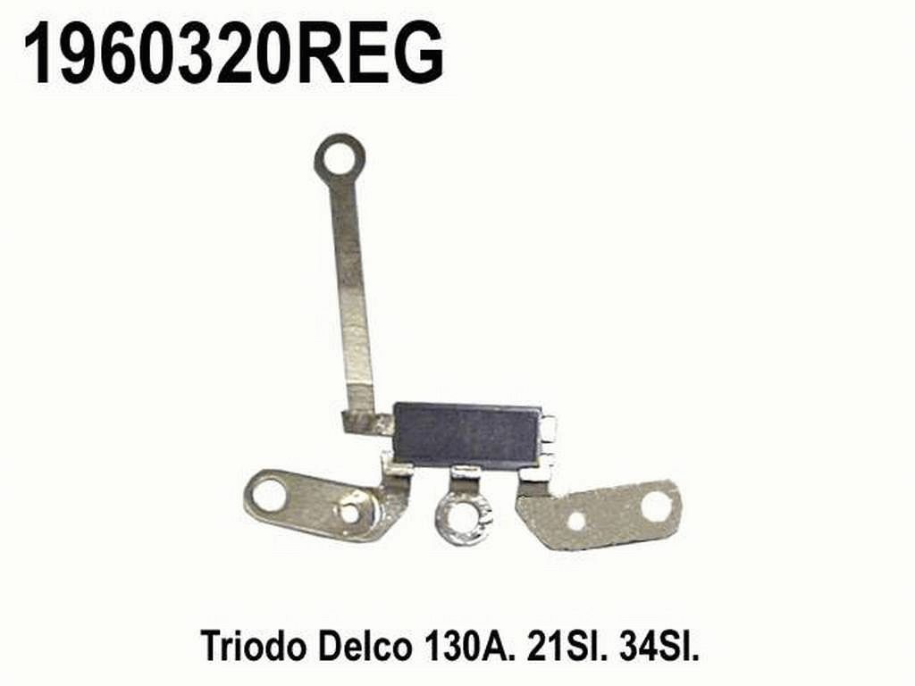1960320REG_03.jpg
