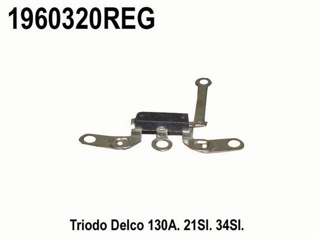 1960320REG_04.jpg
