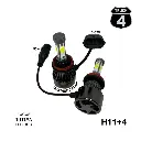 H11+4_01.webp
