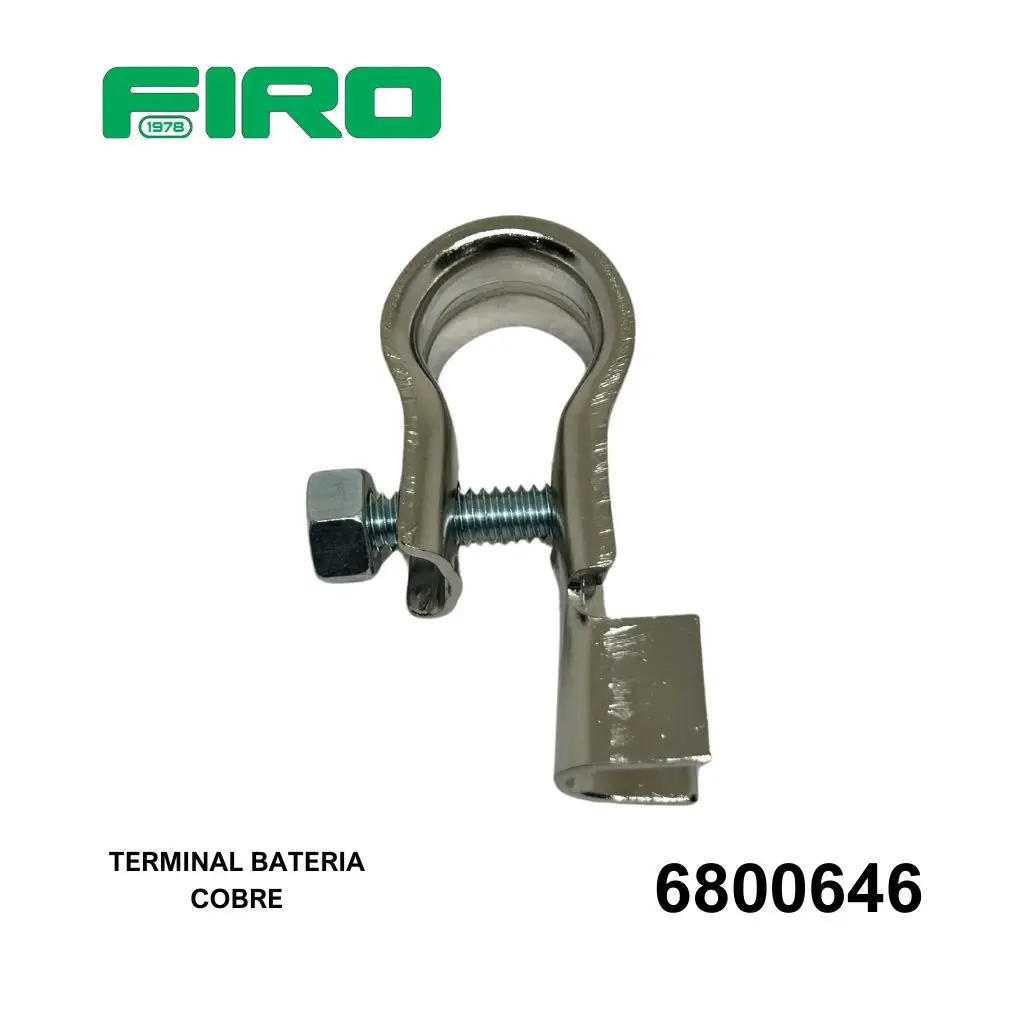 6800646.webp
