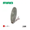 25R_01.webp