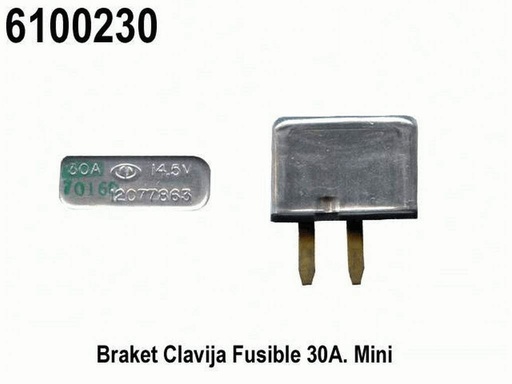 [6100230] BRAKET  30A. CLAVIJA  TERMINAL DELGADA (CRICUIT BREAKER) TERMICO